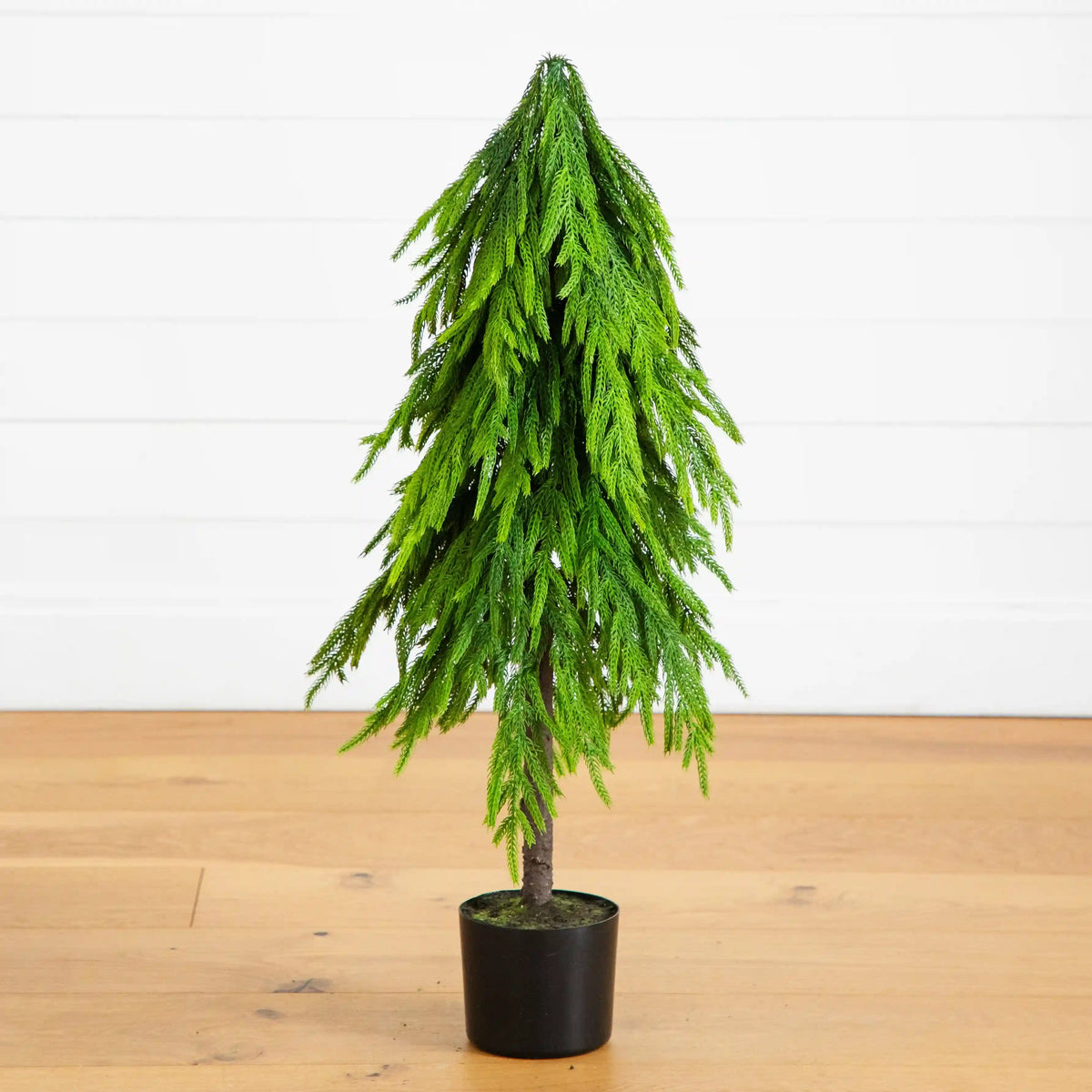 3' Artificial Real Touch Down Swept Norfolk Pine Tree with Natural Look
