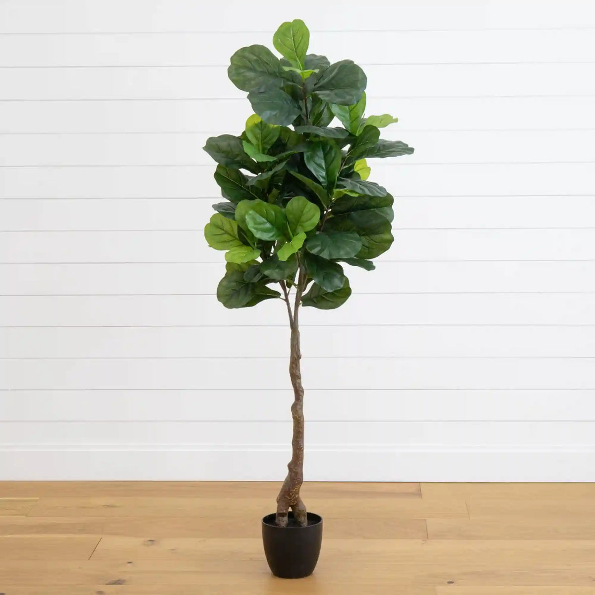 64” Fiddle Leaf Artificial Tree (Real Touch)